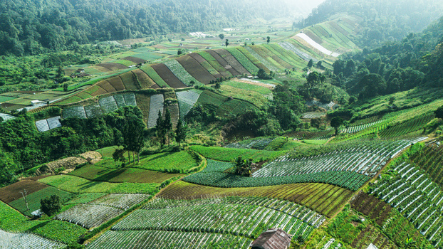 Aerial view of terraced agricultural fields and lush green hillsides under a soft morning light in Sukabumi West Java Indonesia. Aerial view of terraced agricultural fields and lush green hillsides under a soft morning light in Sukabumi West Java Indonesia.