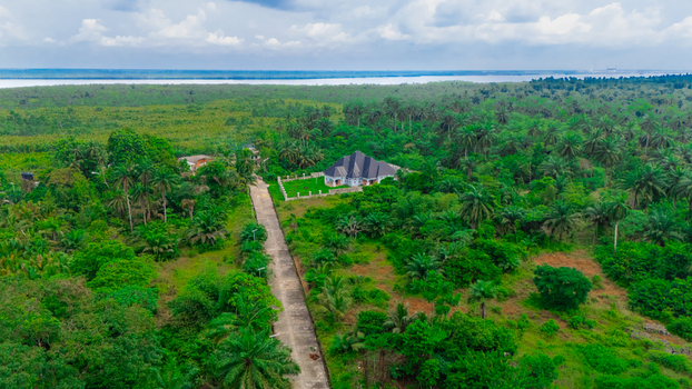 Aerial view of a house surrounded by dense palm trees and lush tropical vegetation with a long paved driveway leading to the property in Minima Rivers Nigeria.