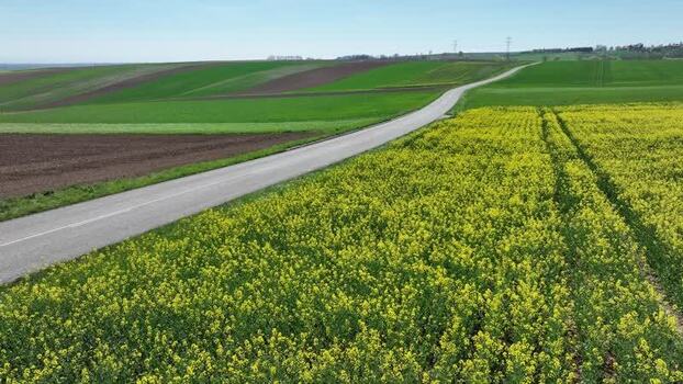 Aerial view of road and yellow field France.
