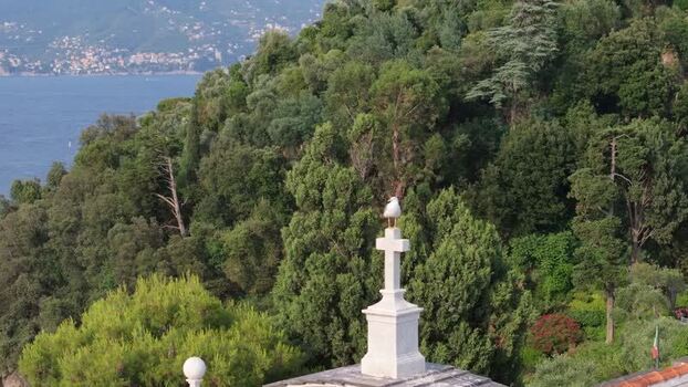 Aerial view of seagull on stone cross in Portofino Italy. Aerial view of seagull on stone cross in Portofino Italy.