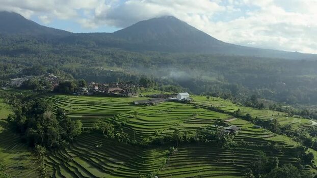 Aerial view of Jatiluwih rice terraces and Mount Batukaru Indonesia.