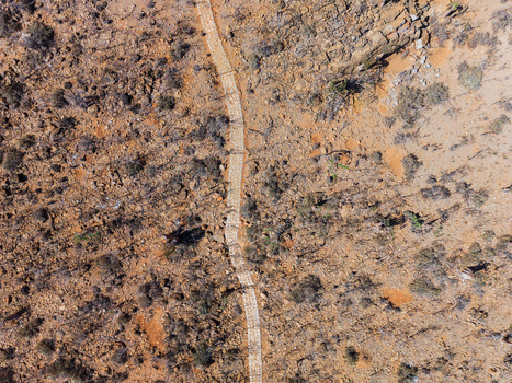 Aerial view of a winding path cutting through the arid landscape a ribbon of light amidst the ochre and umber tones Rhiy di Hoq Socotra Yemen.