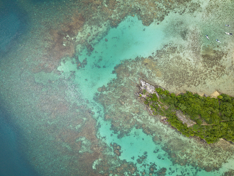 Aerial view of the vibrant turquoise waters meeting the rugged coastline and lush greenery of Annora Beach Karimunjawa Jawa Tengah Indonesia.