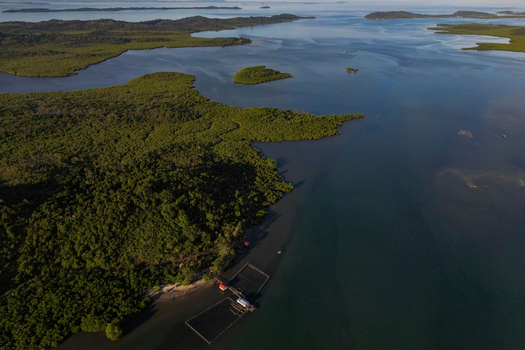 Aerial view of the lush mangrove forests and calm blue waters of Galang Baru with fish farms along the coast in Galang Riau Islands Indonesia. Aerial view of the lush mangrove forests and calm blue waters of Galang Baru with fish farms along the coast in Galang Riau Islands Indonesia.