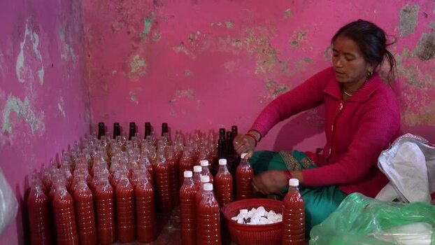 View of a woman bottling red juice in Dhangadhi Nepal. View of a woman bottling red juice in Dhangadhi Nepal.