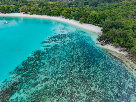 Aerial view of the turquoise waters meeting the white sandy beach fringed by lush green vegetation a tropical paradise from above Victoria Mahe Island Seychelles. Aerial view of the turquoise waters meeting the white sandy beach fringed by lush green vegetation a tropical paradise from above Victoria Mahe Island Seychelles.