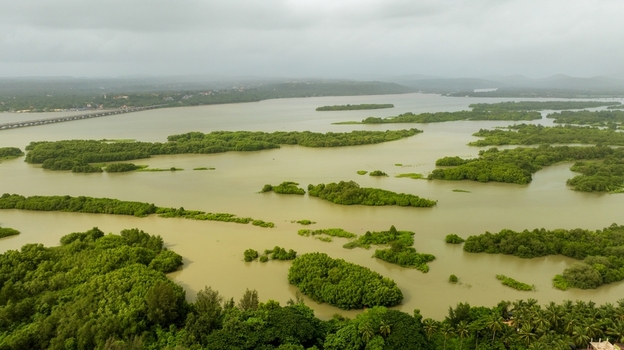 Aerial view of the lush green mangrove islands scattered across the Sharavathi river estuary with a bridge in the distance under an overcast sky in Honnavar Karnataka India.