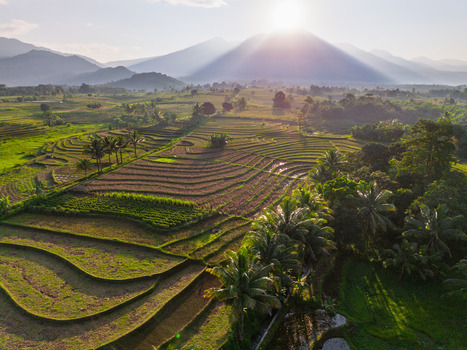 Aerial view of Kemumu rice terraces with lush green paddies palm trees and distant mountains under a bright sun in Arma Jaya Bengkulu Indonesia. Aerial view of Kemumu rice terraces with lush green paddies palm trees and distant mountains under a bright sun in Arma Jaya Bengkulu Indonesia.