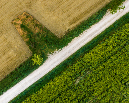 Aerial view of a white dirt road cutting through green crops and plowed fields in the Valdarno valley Florence Tuscany Italy. Aerial view of a white dirt road cutting through green crops and plowed fields in the Valdarno valley Florence Tuscany Italy.
