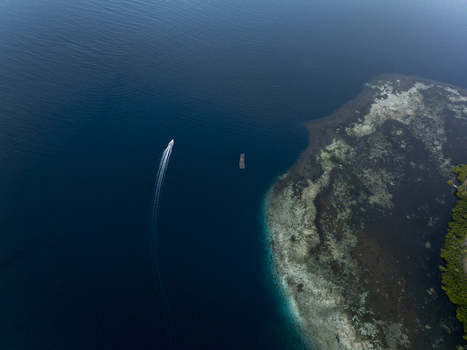 Aerial view of a boat leaving a white wake in deep blue water near the coral reef and lush coastline of Komodo Island Komodo East Nusa Tenggara Indonesia.