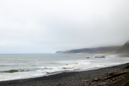 View of the rugged Lost Coast featuring a dark pebble beach crashing white waves and steep cliffs partially hidden by thick fog in Humboldt County California United States.