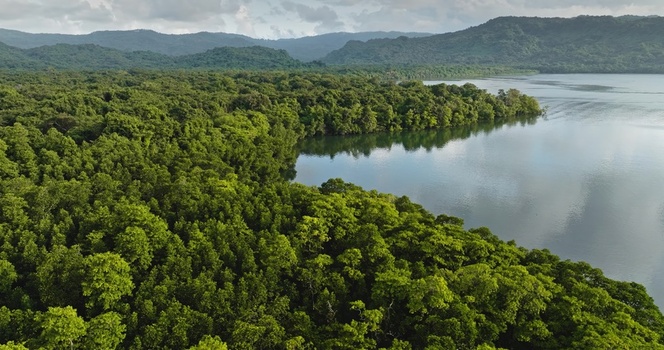 Aerial view of lush green tropical forest bordering a calm bay with mountains in the background under a cloudy sky in Solomon Islands. Aerial view of lush green tropical forest bordering a calm bay with mountains in the background under a cloudy sky in Solomon Islands.