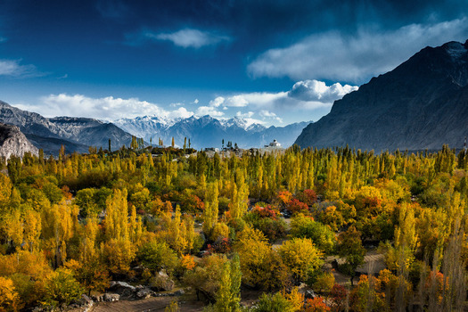 Aerial view of Upper Kachura Road surrounded by vibrant autumn foliage tall poplar trees and snow capped mountains under a dramatic blue sky in Kachura GB Pakistan.
