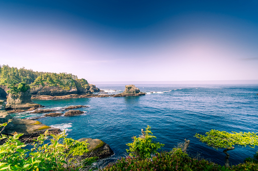 View of the rugged coastline and rocky cliffs of Olympic National Park with lush green vegetation and deep blue ocean waters in Port Angeles Washington United States.
