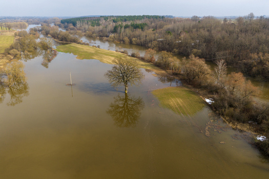Aerial view of a flooded river valley with a solitary tree reflecting in the murky water and dense forests in the background Kaniukai Kaunas County Lithuania. Aerial view of a flooded river valley with a solitary tree reflecting in the murky water and dense forests in the background Kaniukai Kaunas County Lithuania.