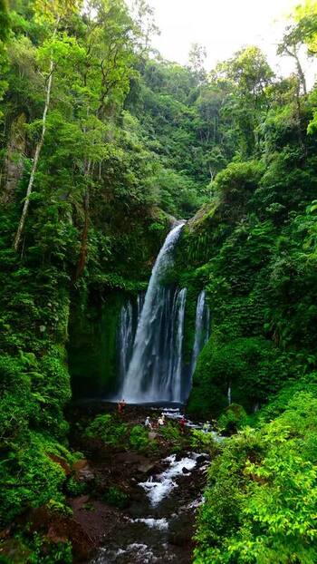Aerial view of Tiu Kelep Waterfall in the jungle Indonesia.