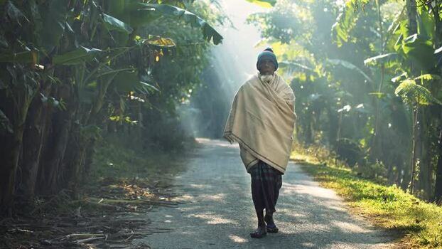 View of an elderly man walking on a rural path in Bogura Bangladesh View of an elderly man walking on a rural path in Bogura Bangladesh
