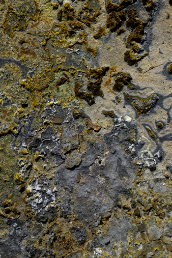 View of rugged volcanic ground with textures of yellow moss grey rock and white mineral deposits creating a striking contrast Hrunamannahreppur Iceland.
