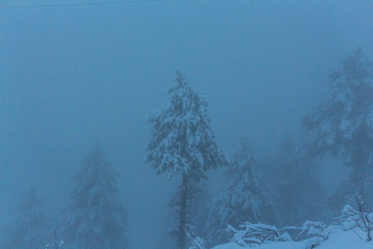 View of snow laden pine trees pierce the dense fog their silhouettes barely visible against the muted sky creating an ethereal winter scene Pir Chanasi Azad Kashmir Pakistan.