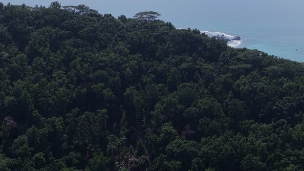 Aerial view of lush tropical forest in Anse Reunion Seychelles.