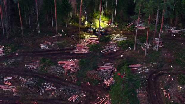 Aerial view of logging machinery working in a forest clearing with stacks of timber and tire tracks in Latvija. Aerial view of logging machinery working in a forest clearing with stacks of timber and tire tracks in Latvija.
