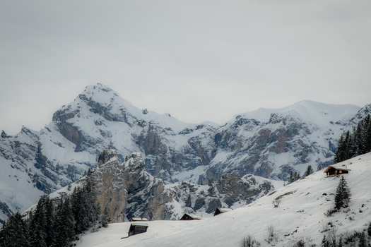 View of snow capped peaks rise majestically against a pale sky rustic wooden chalets dot the snowy slopes and dark green fir trees stand guard in Murren Switzerland. View of snow capped peaks rise majestically against a pale sky rustic wooden chalets dot the snowy slopes and dark green fir trees stand guard in Murren Switzerland.