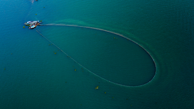 Aerial view of a large circular fishing net deployed by local fishermen in the calm waters of Kaptai Lake in Rangamati Chittagong Division Bangladesh.