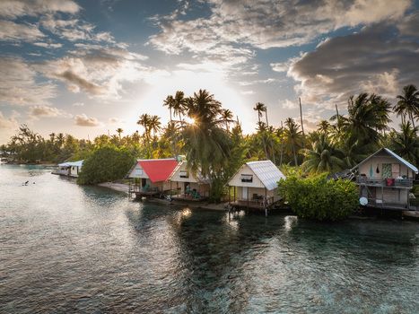 Aerial view of tropical bungalows along the turquoise shoreline surrounded by lush palm trees under a glowing sunset sky Moorea Maiao Windward Islands French Polynesia. Aerial view of tropical bungalows along the turquoise shoreline surrounded by lush palm trees under a glowing sunset sky Moorea Maiao Windward Islands French Polynesia.