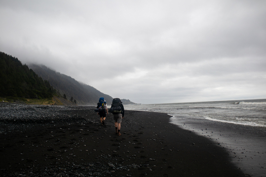 View of two hikers with backpacks walking along the black sand beach of the Lost Coast under a cloudy sky Humboldt County California United States.