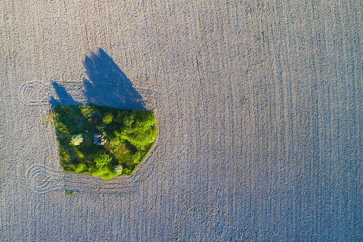 Aerial view of a small patch of green trees and vegetation surrounded by a vast freshly plowed agricultural field in Vanersnas Vastra Gotalands lan Sweden. Aerial view of a small patch of green trees and vegetation surrounded by a vast freshly plowed agricultural field in Vanersnas Vastra Gotalands lan Sweden.