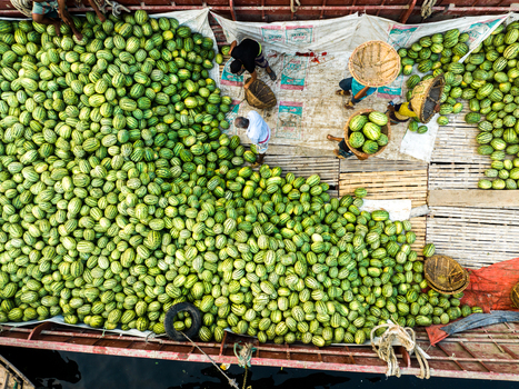 Aerial view of workers loading and unloading a large shipment of watermelons onto a wooden boat at Sadarghat in Dhaka Dhaka Division Bangladesh. Aerial view of workers loading and unloading a large shipment of watermelons onto a wooden boat at Sadarghat in Dhaka Dhaka Division Bangladesh.
