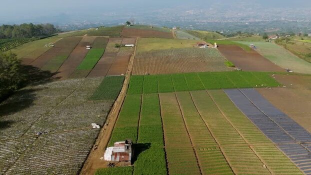 Aerial view of agricultural fields in Batu Indonesia.