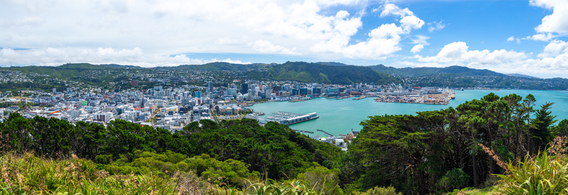  Wellington New Zealand 18 February 2026 View of the city skyline harbor and Port of Wellington blending into the lush green hills under a vast sky.