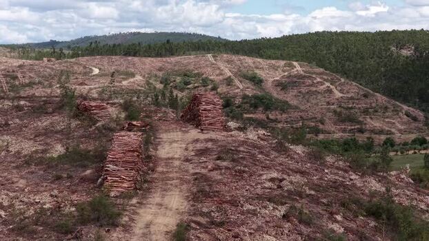 Aerial view of deforested hills and timber stacks in Portugal. Aerial view of deforested hills and timber stacks in Portugal.