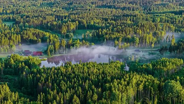 Aerial view of a misty lake surrounded by dense forest in Latvia. Aerial view of a misty lake surrounded by dense forest in Latvia.