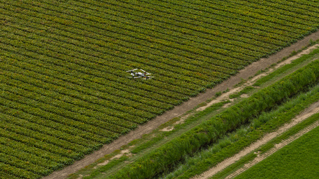 Aerial view of a drone flying over agricultural fields with rows of crops a dirt path and a drainage ditch in Zeewolde Flevoland Netherlands. Aerial view of a drone flying over agricultural fields with rows of crops a dirt path and a drainage ditch in Zeewolde Flevoland Netherlands.