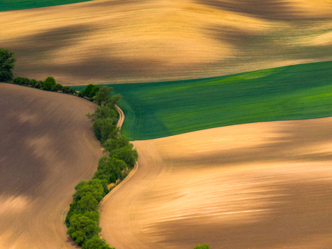 Aerial view of rolling agricultural fields with contrasting brown and green soil patterns separated by a winding line of lush trees in Cejkovice South Moravian Region Czechia.