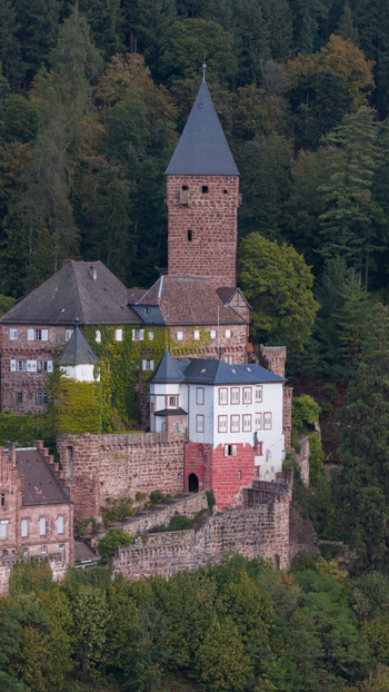 Aerial view of Zwingenberg Castle with its red sandstone tower historic walls and white building sections nestled in a dense forest in Zwingenberg Baden Wurttemberg Germany. Aerial view of Zwingenberg Castle with its red sandstone tower historic walls and white building sections nestled in a dense forest in Zwingenberg Baden Wurttemberg Germany.