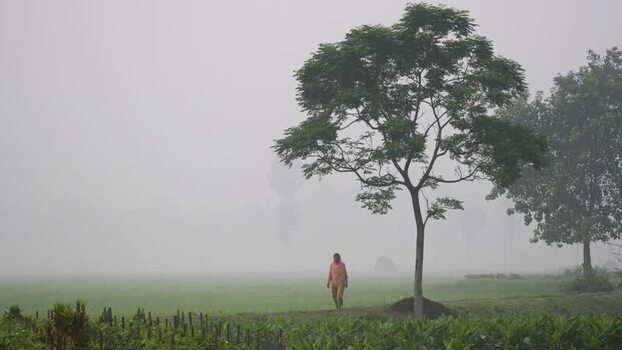View of a person walking in a foggy field in Bogura Bangladesh.