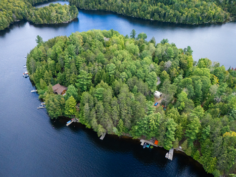 Aerial view of Baptiste Lake featuring a lush forested island with small cabins wooden docks and boats surrounded by deep blue water in Hastings Highlands Ontario Canada.