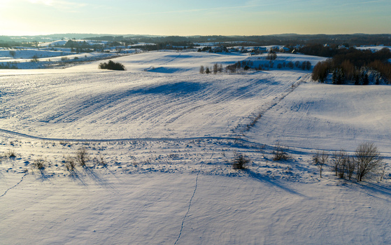 Aerial view of rolling snow covered fields with animal tracks and scattered trees under a soft winter sky in Lithuania. Aerial view of rolling snow covered fields with animal tracks and scattered trees under a soft winter sky in Lithuania.