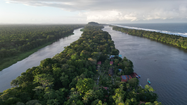 Aerial view of the verdant green canopy meeting the tranquil waters a symphony of blues and greens under a serene sky Tortuguero Limón Province Costa Rica. Aerial view of the verdant green canopy meeting the tranquil waters a symphony of blues and greens under a serene sky Tortuguero Limón Province Costa Rica.