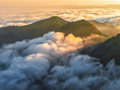 Aerial view of Dieng Plateau with lush green mountain peaks rising above a sea of clouds during golden hour in Indonesia.