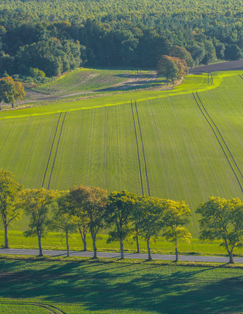 Aerial view of lush green agricultural fields with rows of trees lining a quiet road in the countryside of Choczewo Pomeranian Voivodeshi Poland. Aerial view of lush green agricultural fields with rows of trees lining a quiet road in the countryside of Choczewo Pomeranian Voivodeshi Poland.