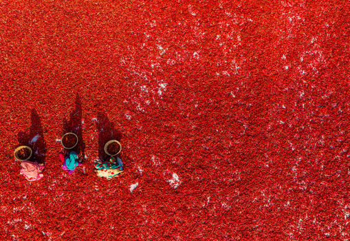 Bogura Bangladesh 06 March 2022 Aerial view of workers spreading and collecting red chilies on a large drying field under bright sunlight.