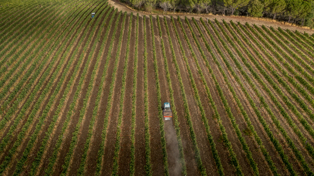 Aerial view of straight rows of a lush vineyard with a tractor working between the vines near a forest edge in Greve in Chianti Tuscany Italy. Aerial view of straight rows of a lush vineyard with a tractor working between the vines near a forest edge in Greve in Chianti Tuscany Italy.