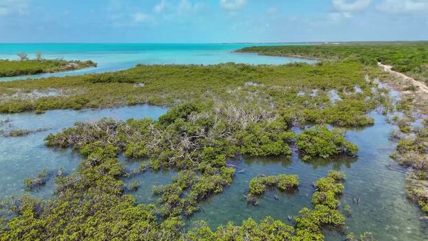 Aerial view of lush mangroves and turquoise water The Bahamas.