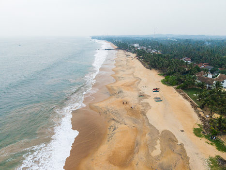 Aerial view of the sandy coastline with ocean waves crashing on the shore and lush palm trees lining the beach in Galle Southern Province Sri Lanka.