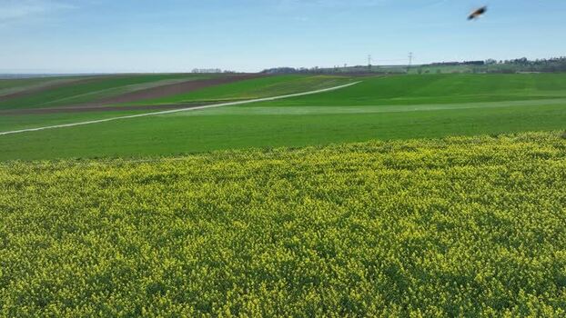 Aerial view of agricultural fields France.