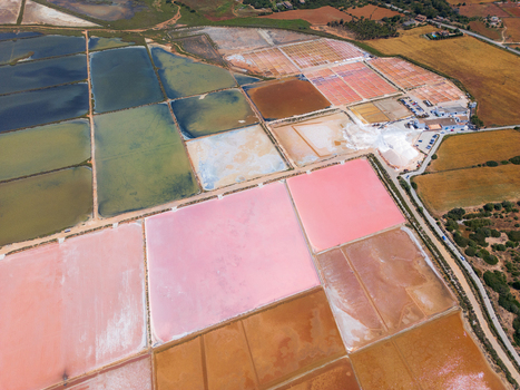 Aerial view of the colorful salt evaporation ponds at Salines des Trenc with vibrant pink and orange water under bright daylight in Campos Islas Baleares Spain. Aerial view of the colorful salt evaporation ponds at Salines des Trenc with vibrant pink and orange water under bright daylight in Campos Islas Baleares Spain.